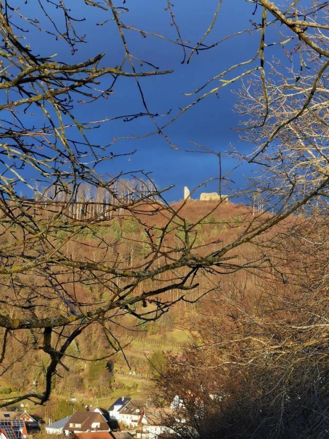 Ferienwohnung Birkental Ebringen Eksteriør billede
